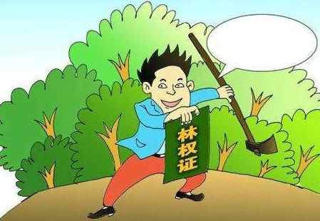 2019年最新个人林地林权转让合同(范本)