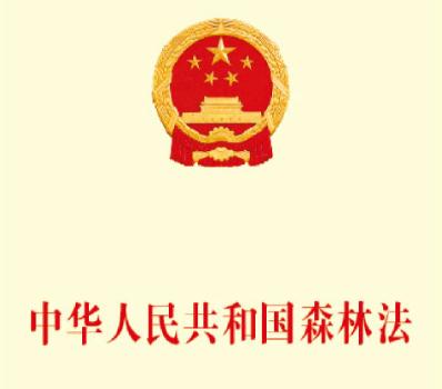 2019年中华人民共和国森林法全文(2019年修正本)