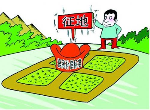 2019征地树木补偿标准是什么?征地苗木补偿如何实施?