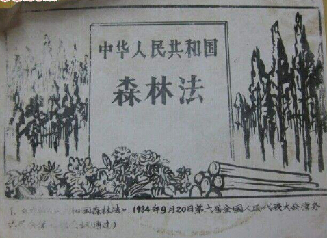 【新森林法全文】2019中华人民共和国森林法全文