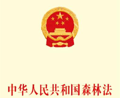 2019年最新中华人民共和国森林法【已修正】