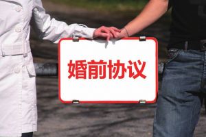 2019年婚前房产约定协议合同范本【律师版】