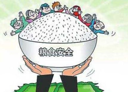 2019年福建省粮食安全保障办法全文【最新修订】