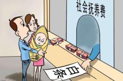 2020安徽省社会抚养费征收管理实施办法全文