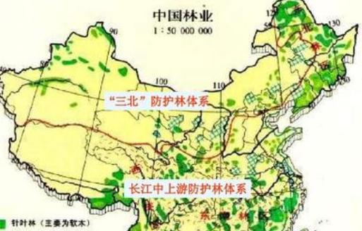 2020重庆市长江防护林体系管理条例全文【修正版】