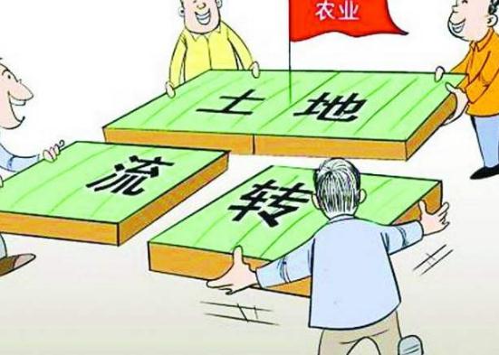 农村集体土地流转程序是怎样?2020农村土地流转新政策有哪些?