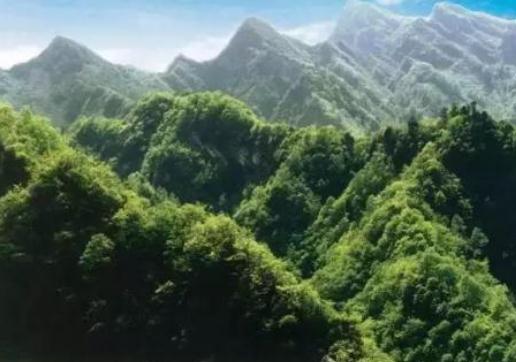 2020吉林长白山国家级自然保护区条例全文