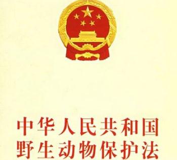 2020黑龙江省野生动物保护条例