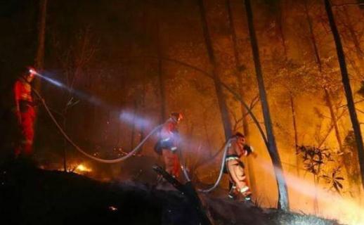 云南丽江发生森林火灾 引发森林火灾怎么处罚及立案标准是什么?