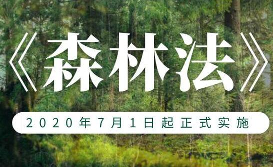 新修订中华人民共和国森林法全文【附修改全文】