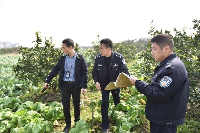 妻子出轨 丈夫伙同另一绿帽男杀妻沉尸!