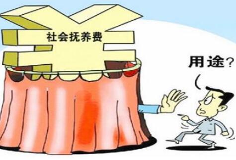 社会抚养费征收办法