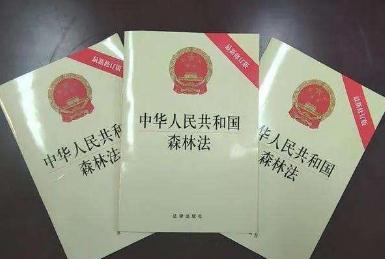 2021年湖北省林地管理条例修正【全文】