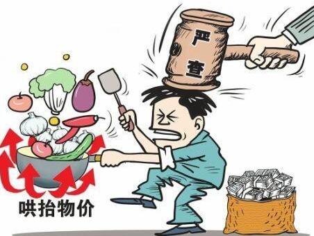 中华人民共和国价格法释义:第三十五条