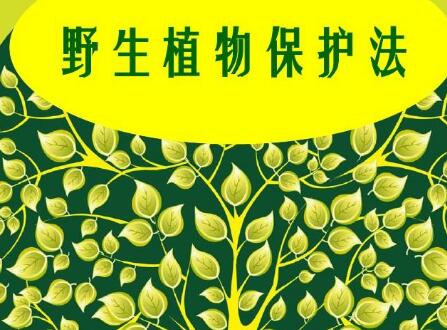 中华人民共和国野生植物保护条例最新全文